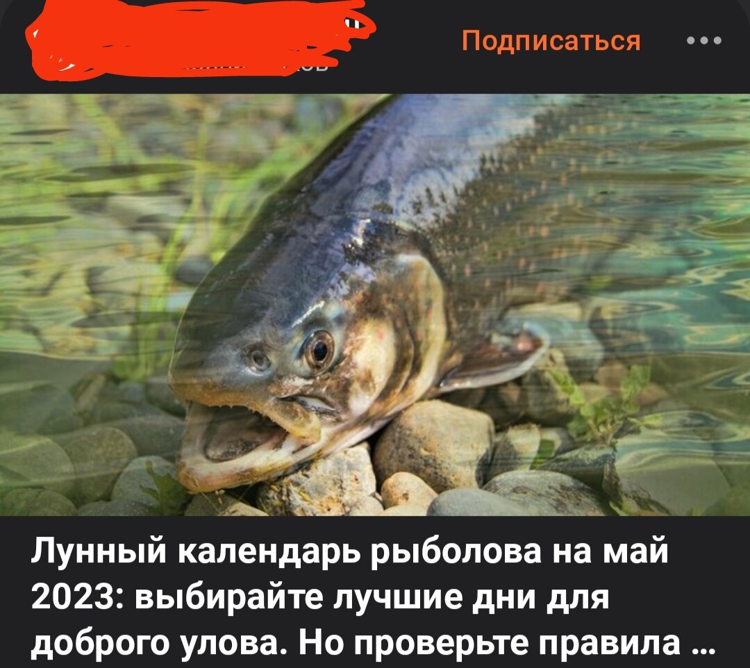 Скриншот сделан в приложении Дзен.