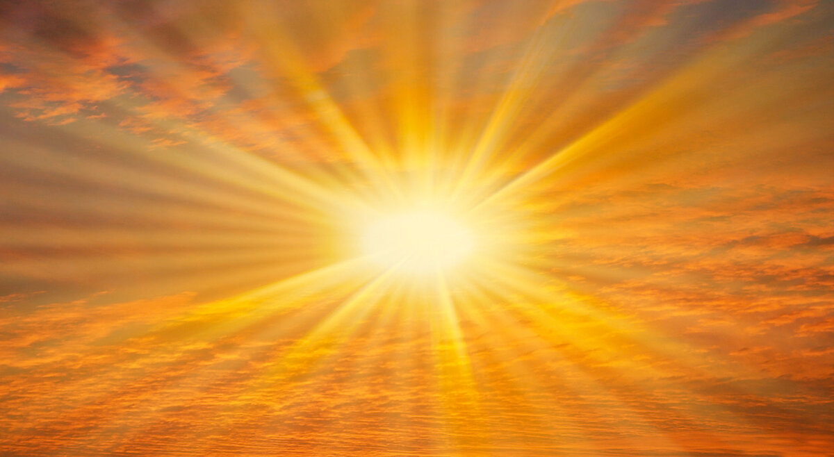 Весеннее солнышко. Такое долгожданное и яркое. 