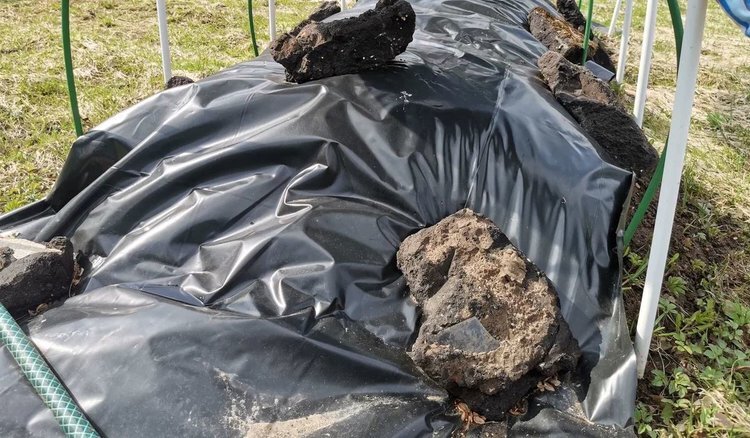    Температура почвы для посадки в грунт разных культур – советы к новому сезону