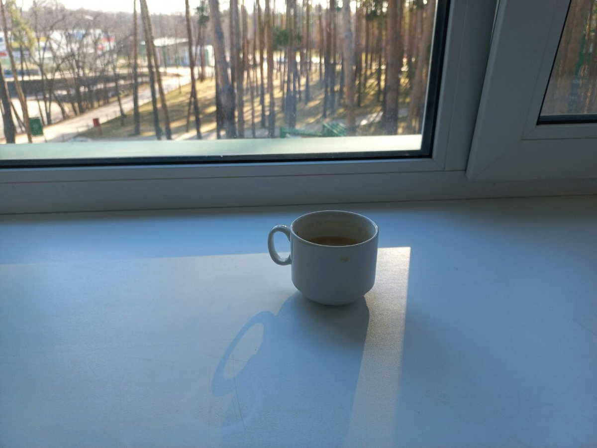 Фото автора.