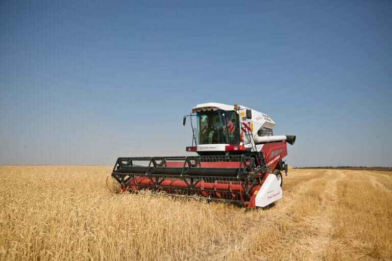    Россия стала мировым лидером по производству пшеницы Белов Михаил Александрович