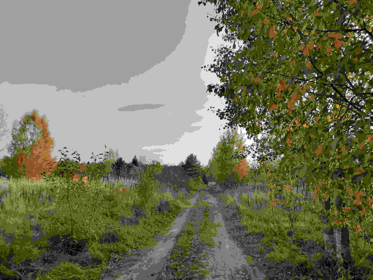 Фото из личного архива