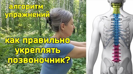 Стонет грудной отдел, шея и мозг изнывают от нехватки крови? Освойте отжимания лопатками