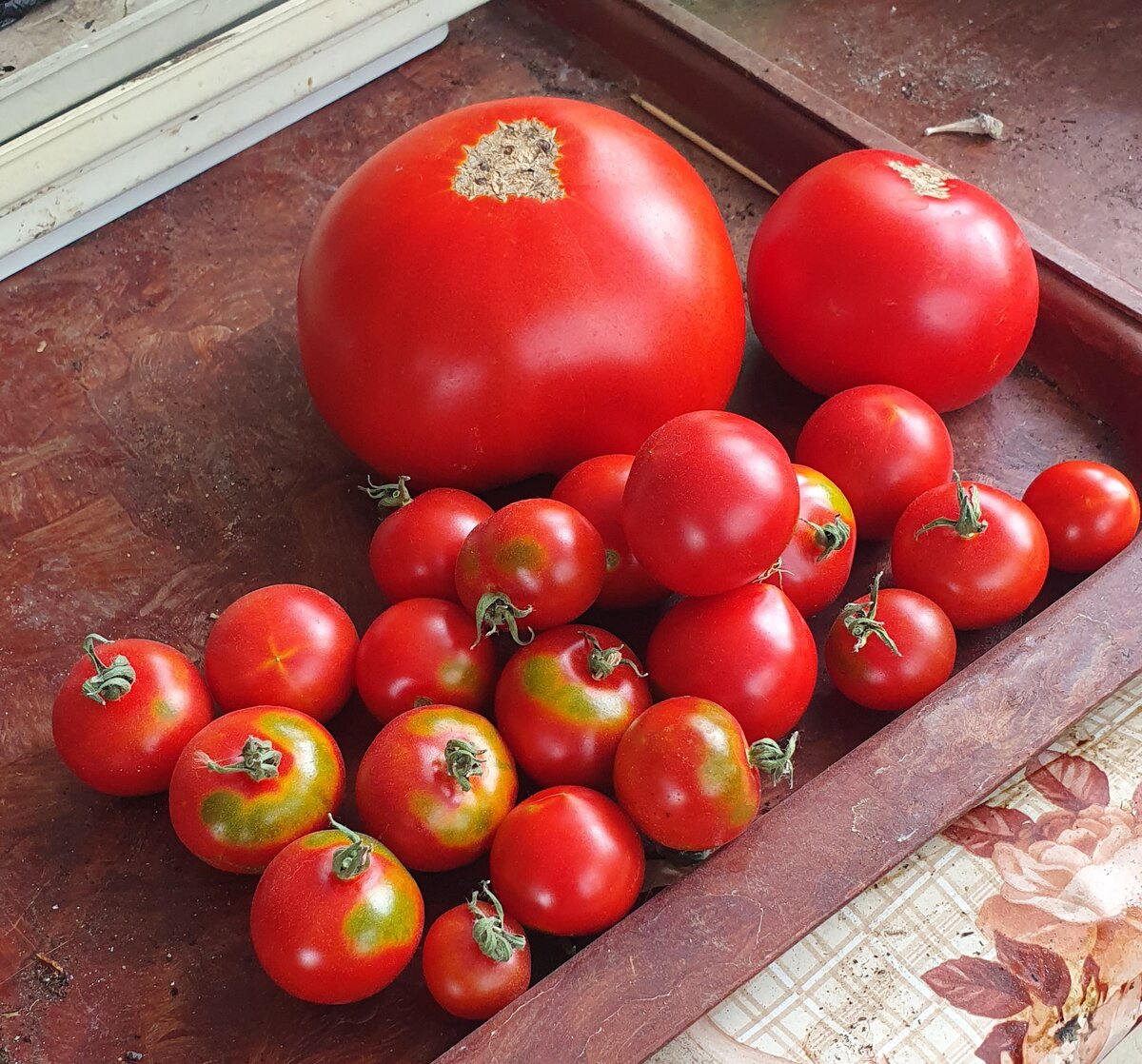 Прошлогодний ранний урожай