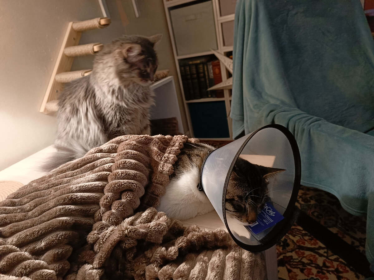 Беся дежурит рядом с Кузей после операции