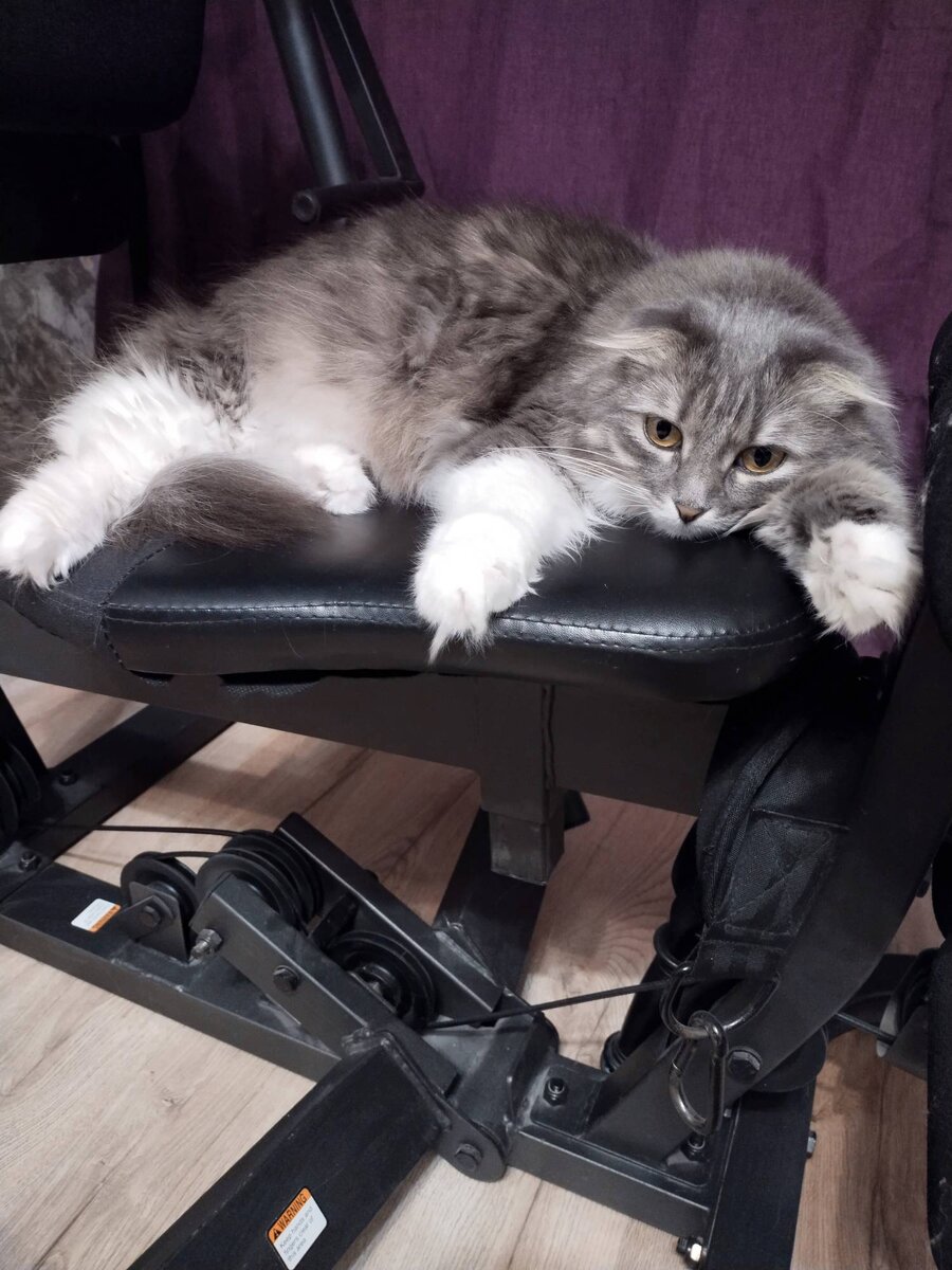 Да, весна некоторым во вред. Урр!