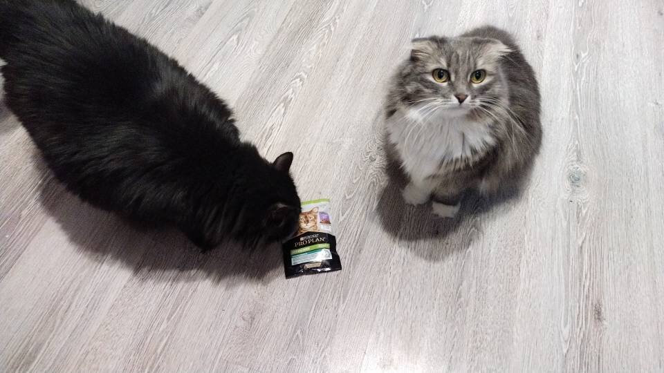 Богатствооо!