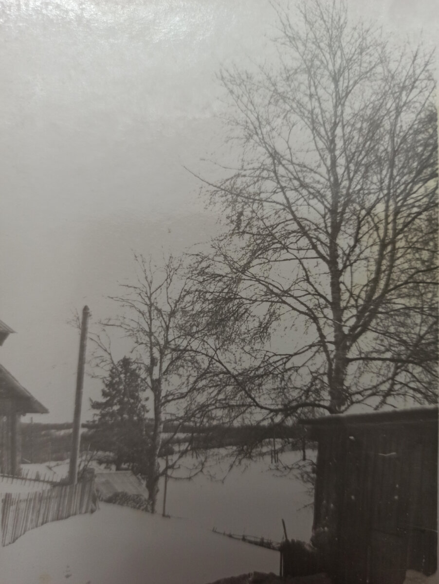Деревня Савиново. Во дворе родного дома.