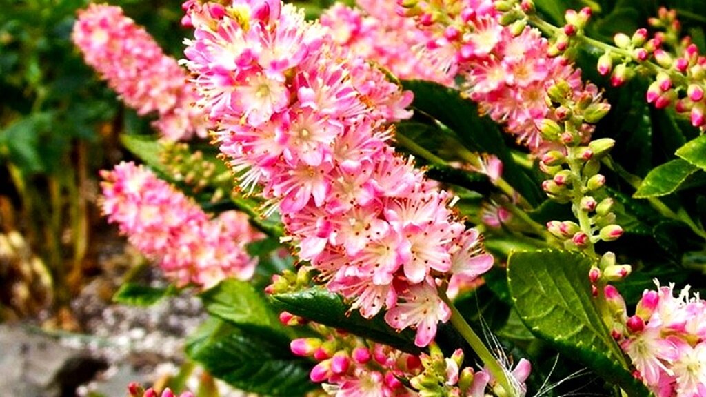 Листайте галерею для просмотра фото.