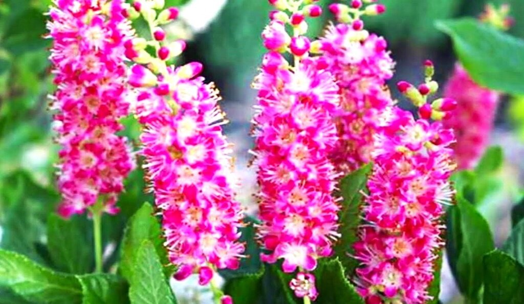 Листайте галерею для просмотра фото.