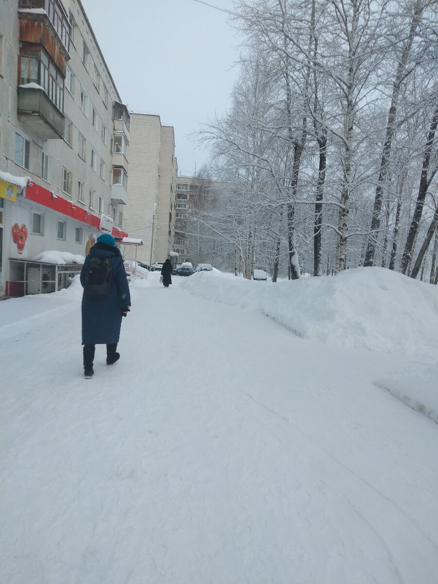 Эжва города Сыктывкара зима тепло не холодно завтра весна 29 февраля, 2024  год | Щельяюр природа лес | Дзен