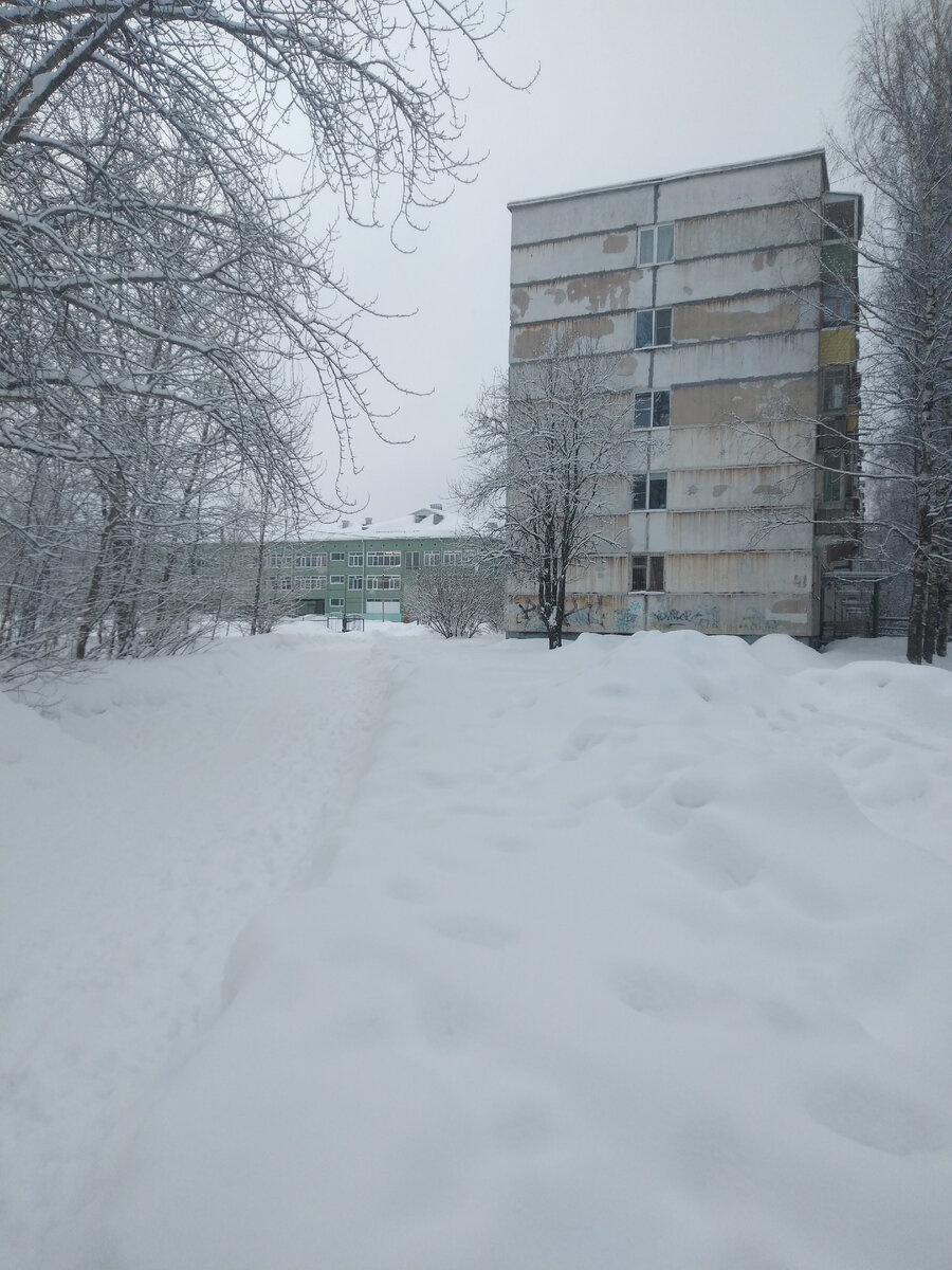 Эжва города Сыктывкара зима тепло не холодно завтра весна 29 февраля, 2024  год | Щельяюр природа лес | Дзен