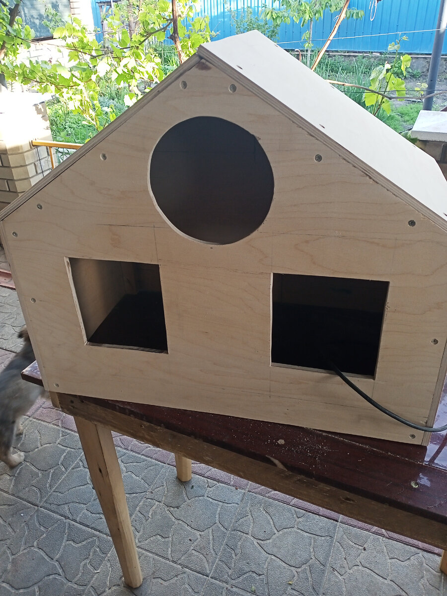 Все фото автора