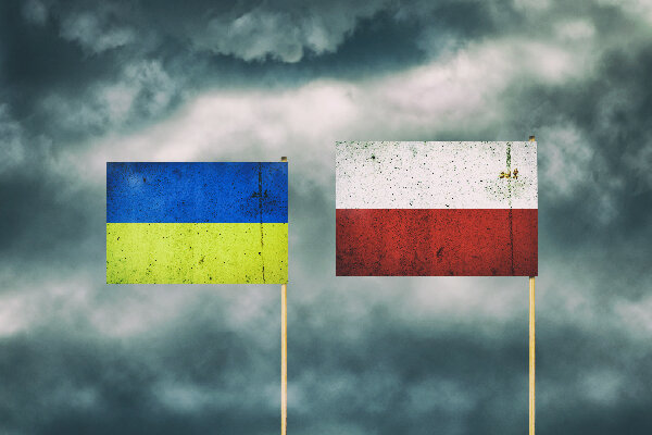    Фото: iStock/ValleraTo
