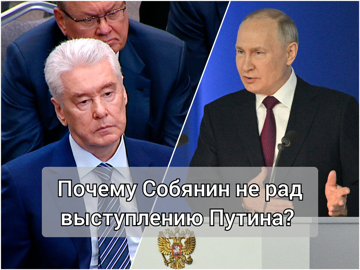 Почему социальная политика Собянина идёт в разрез заявлениям Путина? И что  теперь делать мэру? | Активист Дмитрий Шувалов | Дзен