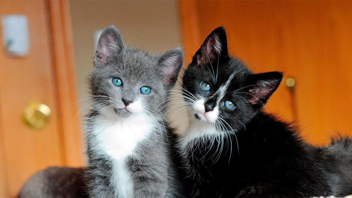 источник фото: chudo-prirody.com