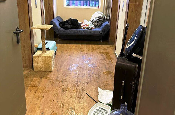 новогодние комедии. мамы 3 (blu-ray). мамы 3 новогодняя комедия. мамы 3 москва. мамы 3 москва.