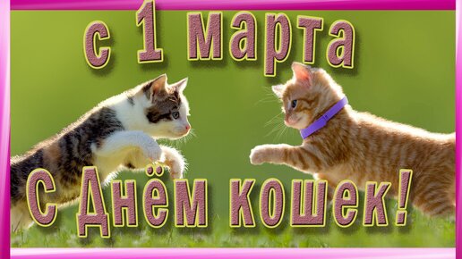 Три кота — Википедия