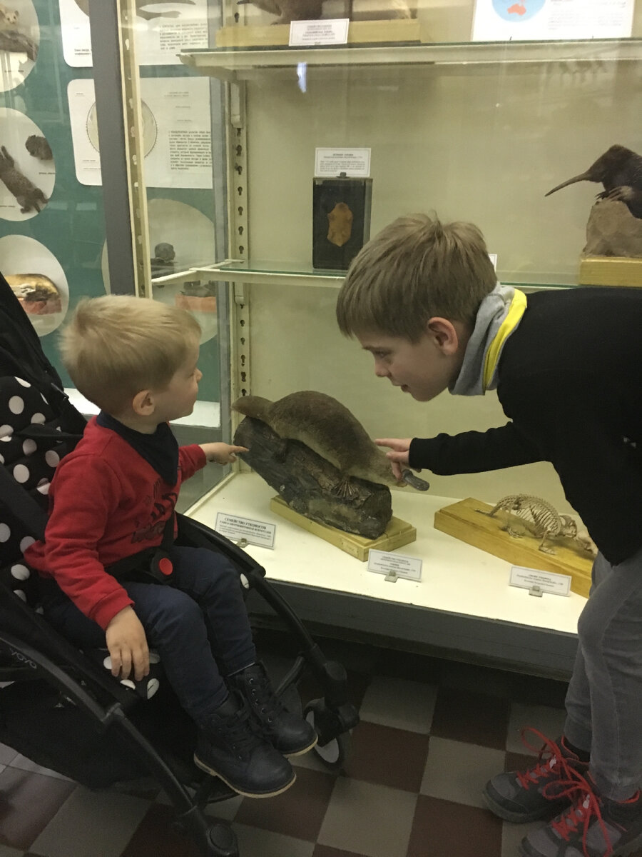 Фото автора. Мальчики шесть лет назад в зоологическом. Вите здесь столько же, сколько сейчас Пете