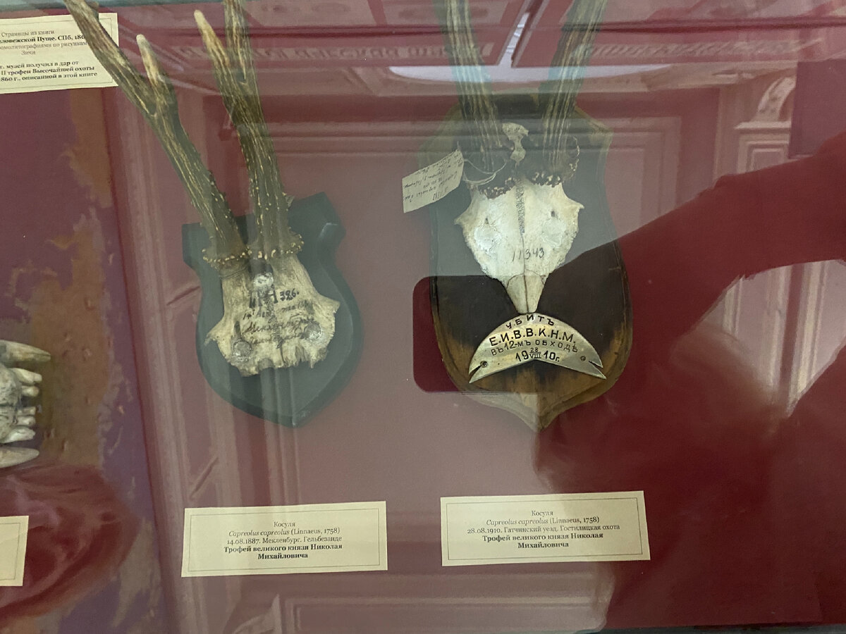 Фото автора. Довольно жутко читать все эти надписи. Трофей такого-то. Таблички с датами…