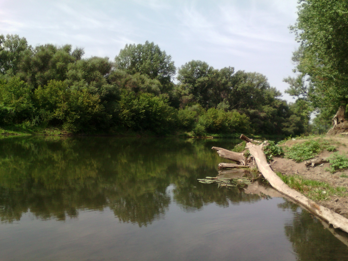 Башкирия. Река Дема. Родные места писателя.