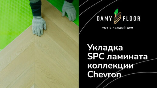 Укладка SPC ламината DAMY FLOOR коллекции Chevron