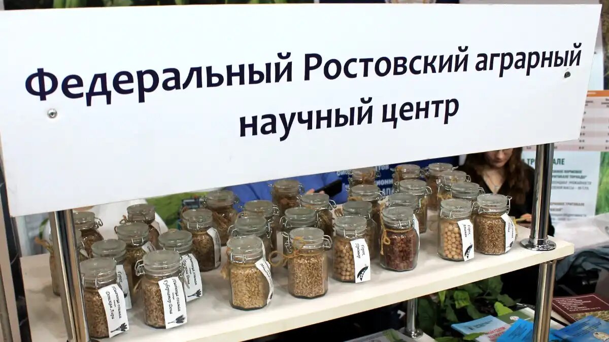 Фото:© Артем Борисов / Glavagronom.ru Экспозиция Ростовского аграрного научного центра на выставках Интерагромаш & Агротехнологии 2024