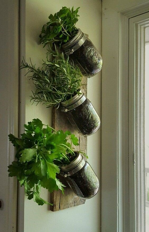 Изображение взято из открытых источников