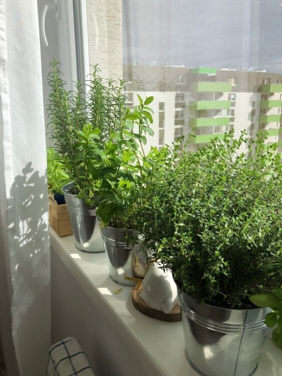 Изображение взято из открытых источников