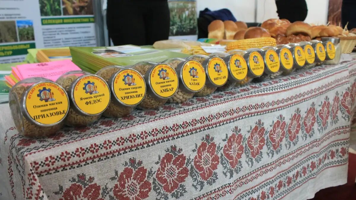 Фото:© Артем Борисов / Glavagronom.ru Линейка сортов культур селекции Донкого АНЦ