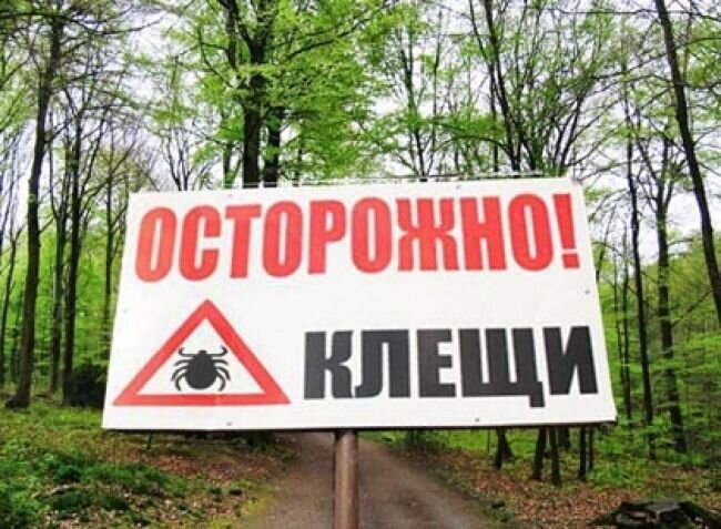 Архивное фото