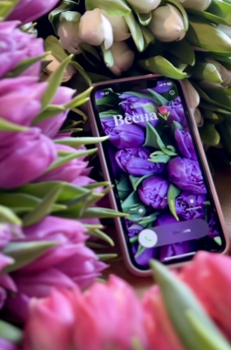 Фото из интернета.