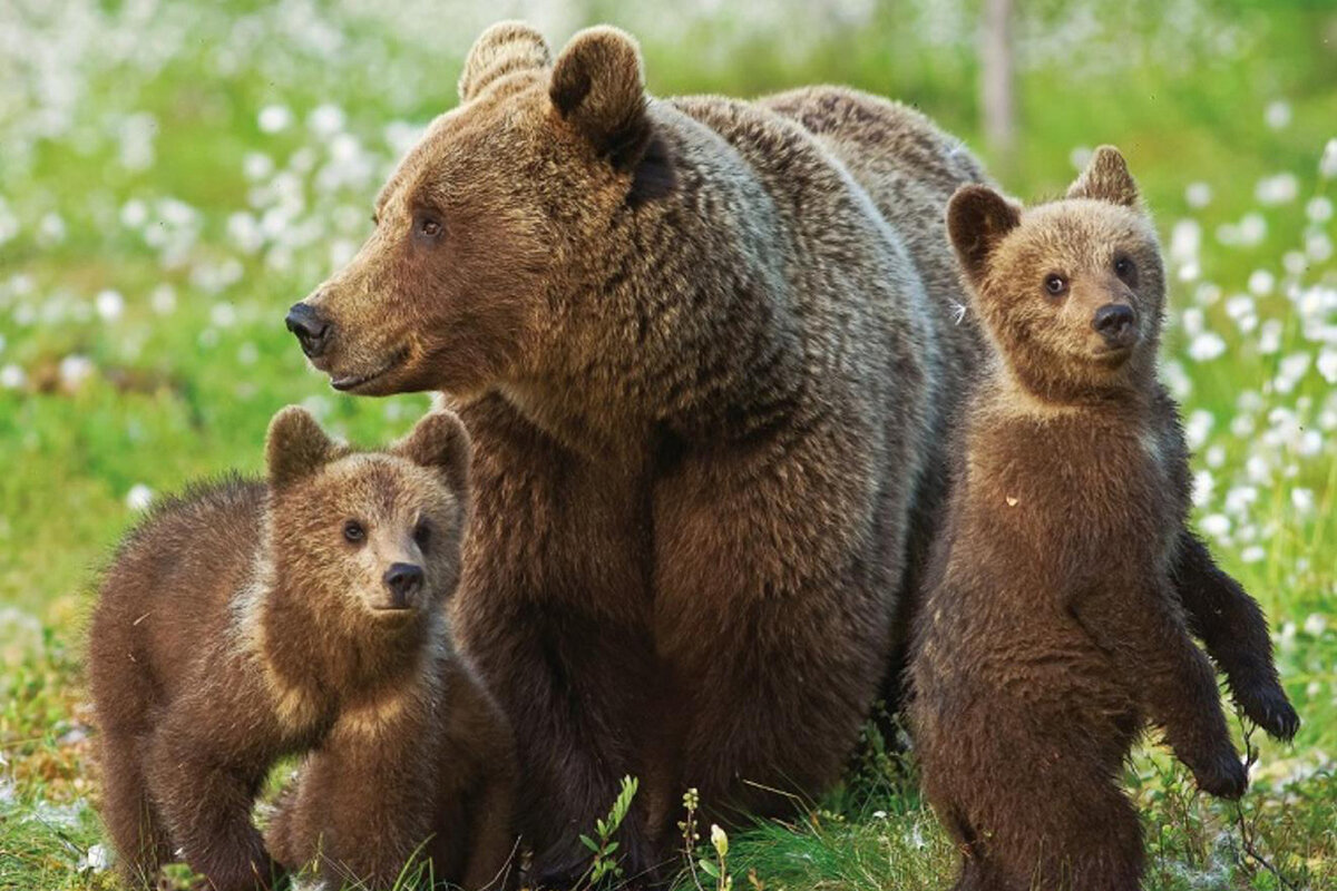 Фото из интернета