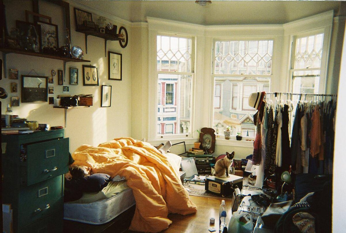 Фото из открытых источников