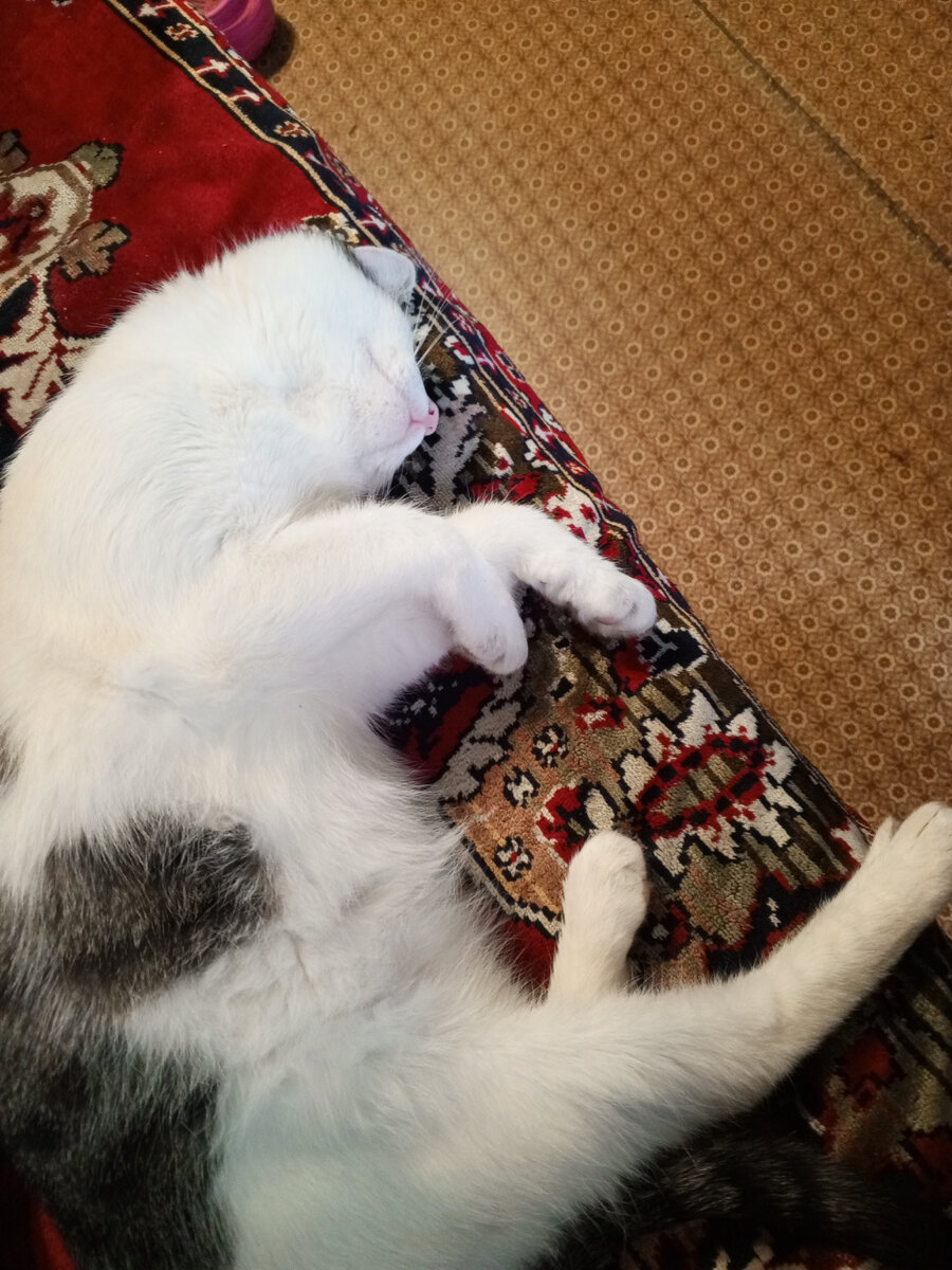 Это она сейчас.