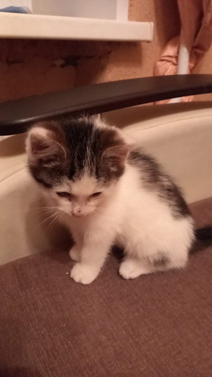 Это когда её к нам привезли.