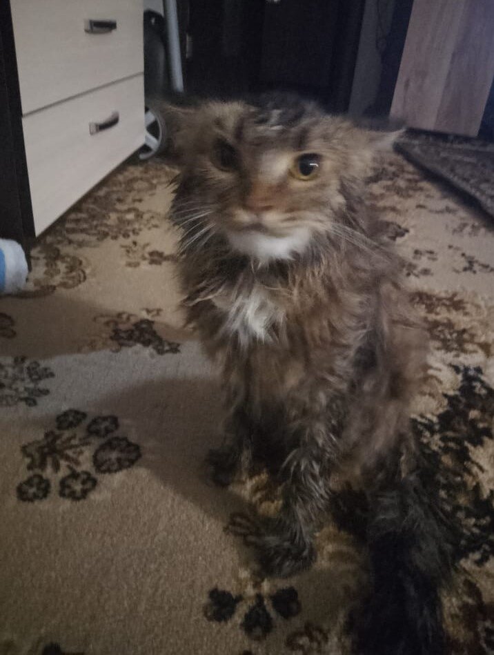Он всё припомнит😡
