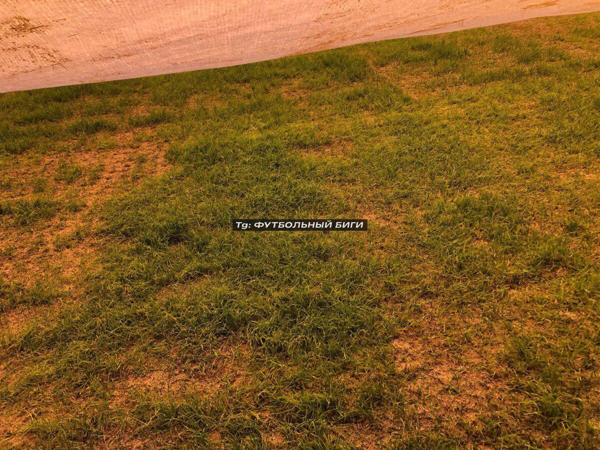 Как сейчас выглядит поле на "Лукойл Арене" 