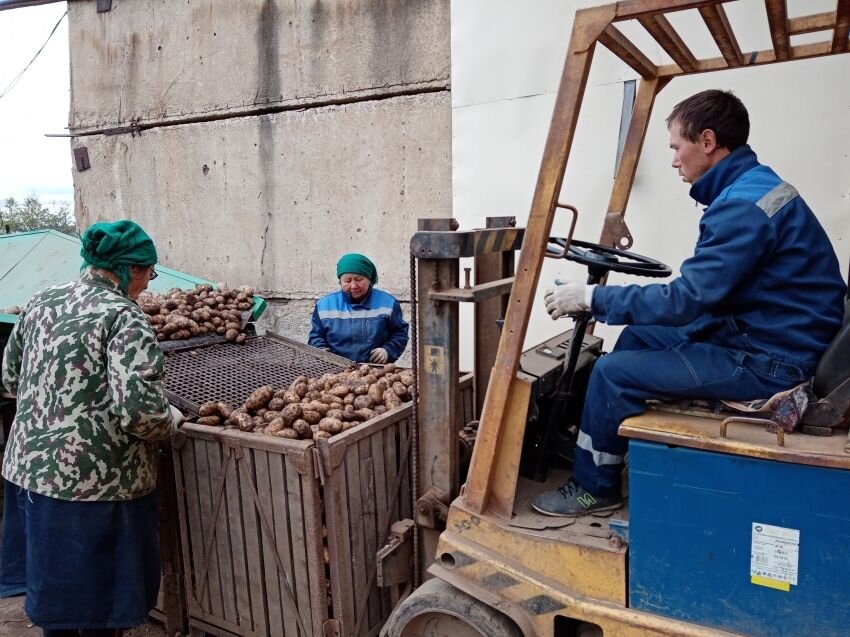    Фото: Пресс-служба Минсельхоза Забайкалья