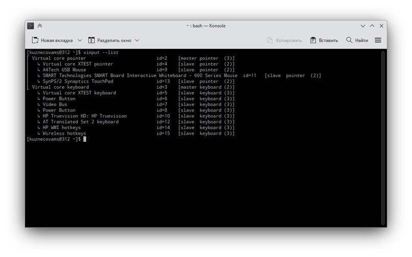 Результат вывода команды xinput —list