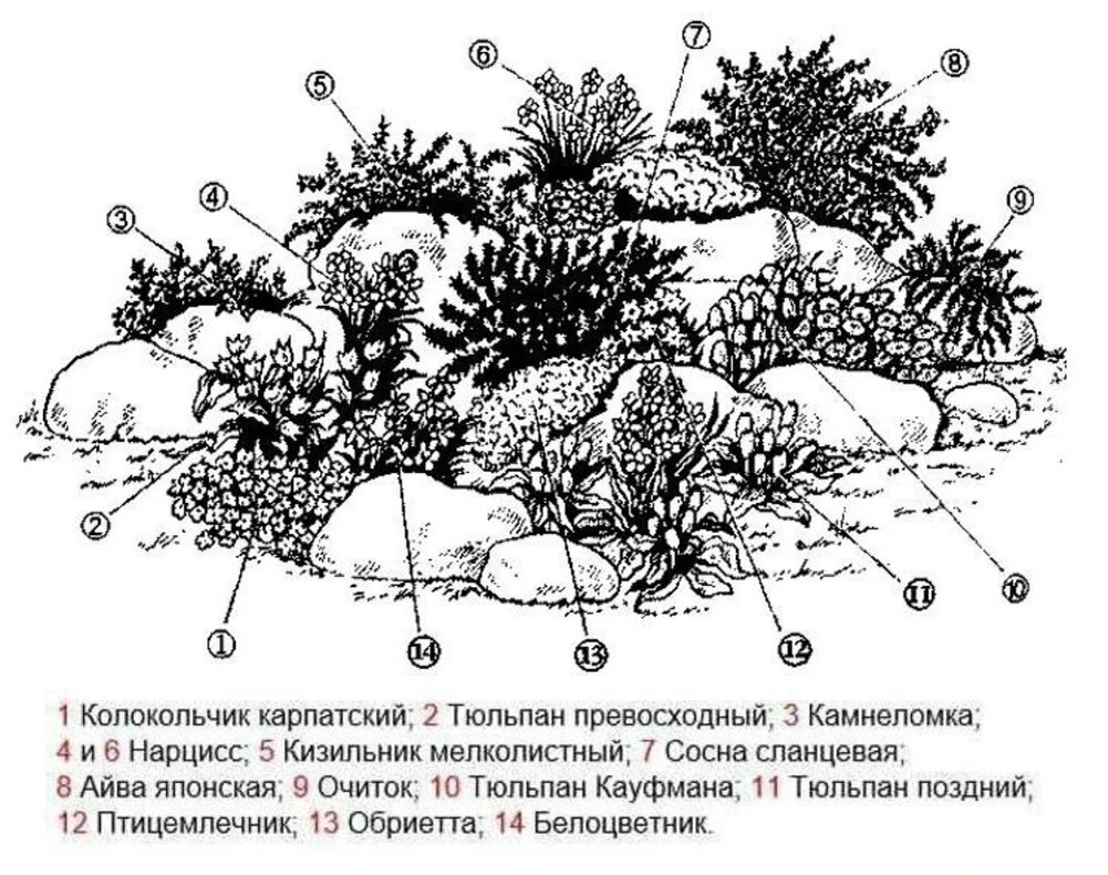 🌷 Альпийская горка своими руками: что говорят дизайнеры? Пошаговая  инструкция по созданию альпинария | Мой Дом и Сад 3D | Дзен