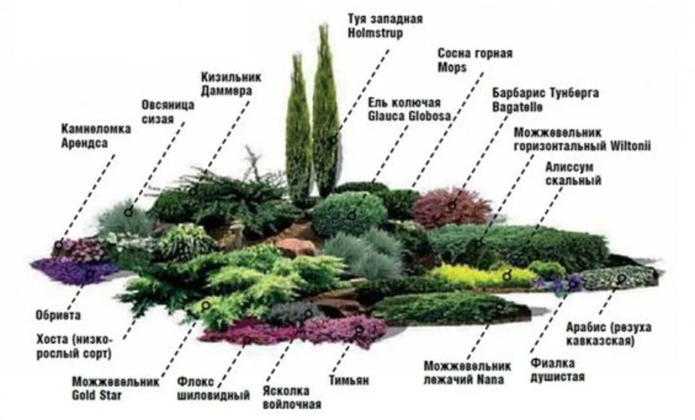 Проект горки альпийской горки