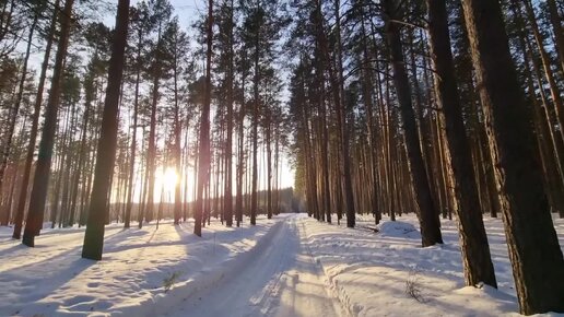 Из Германии🇩🇪 в Россию🇷🇺/ Матушка земля/❤️Россия🇷🇺❤️/ Тюмень 🥰/ Сибирь/ Наша жизнь в России/