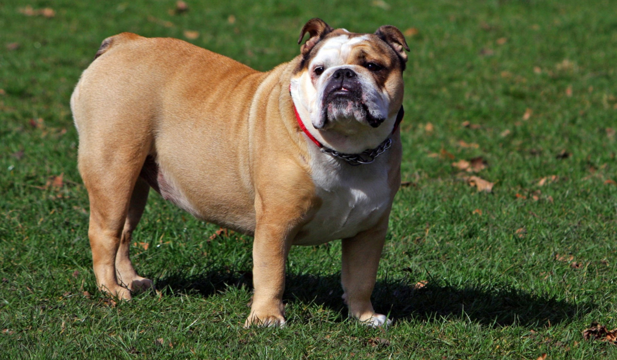 ♥Решительно обаятельна♥