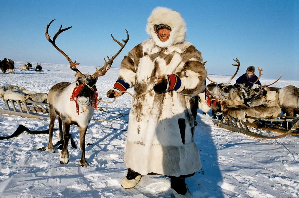 Житель востока сибири. Эвенки, нанайцы, ненцы. Ненцы Ханты манси. Чукчи, Ханты, манси, якуты, ненцы. Стойбище оленеводов в тундре.