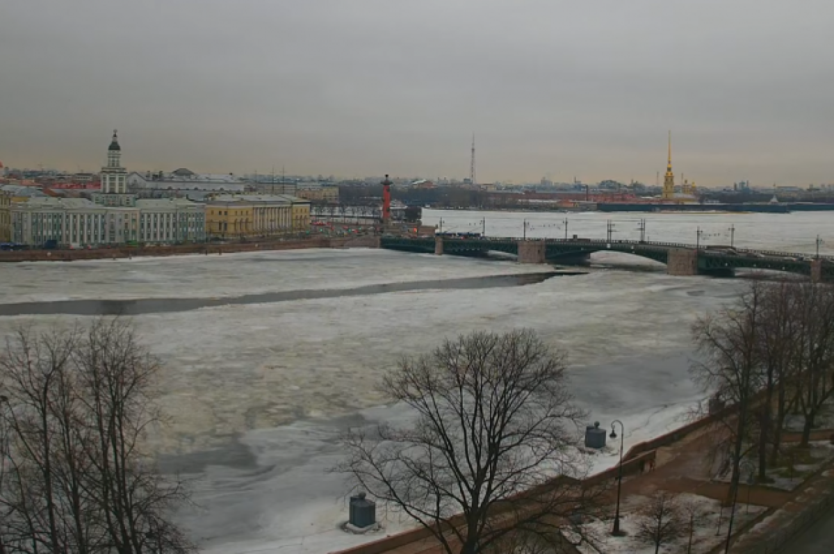    Вид на Неву 1 марта.