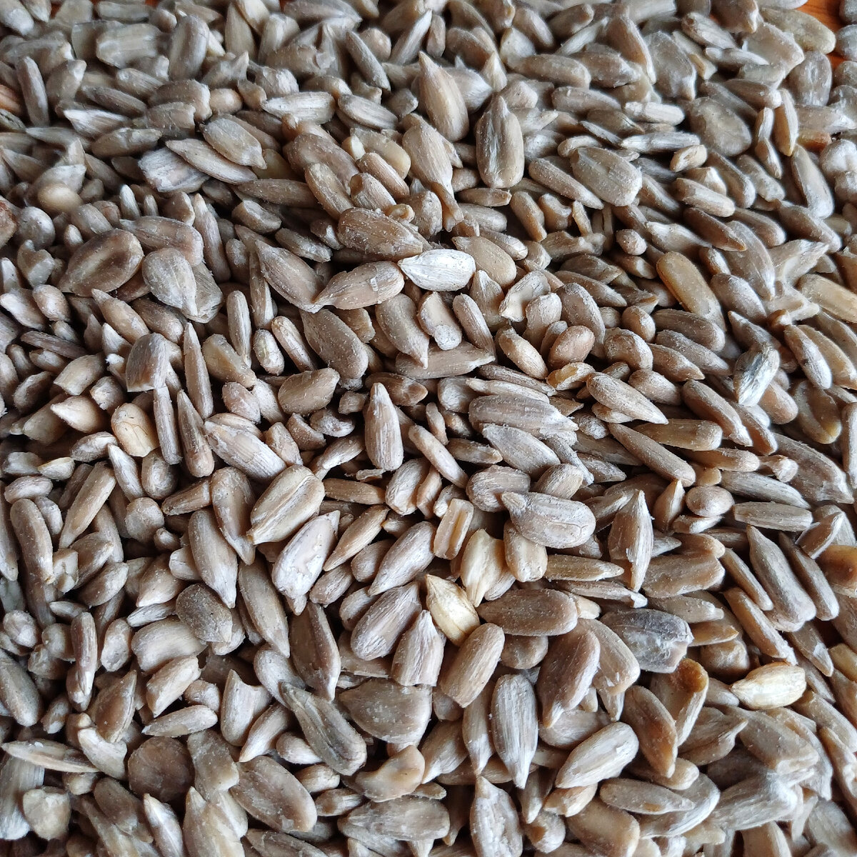 Чищенные семена подсолнечника.