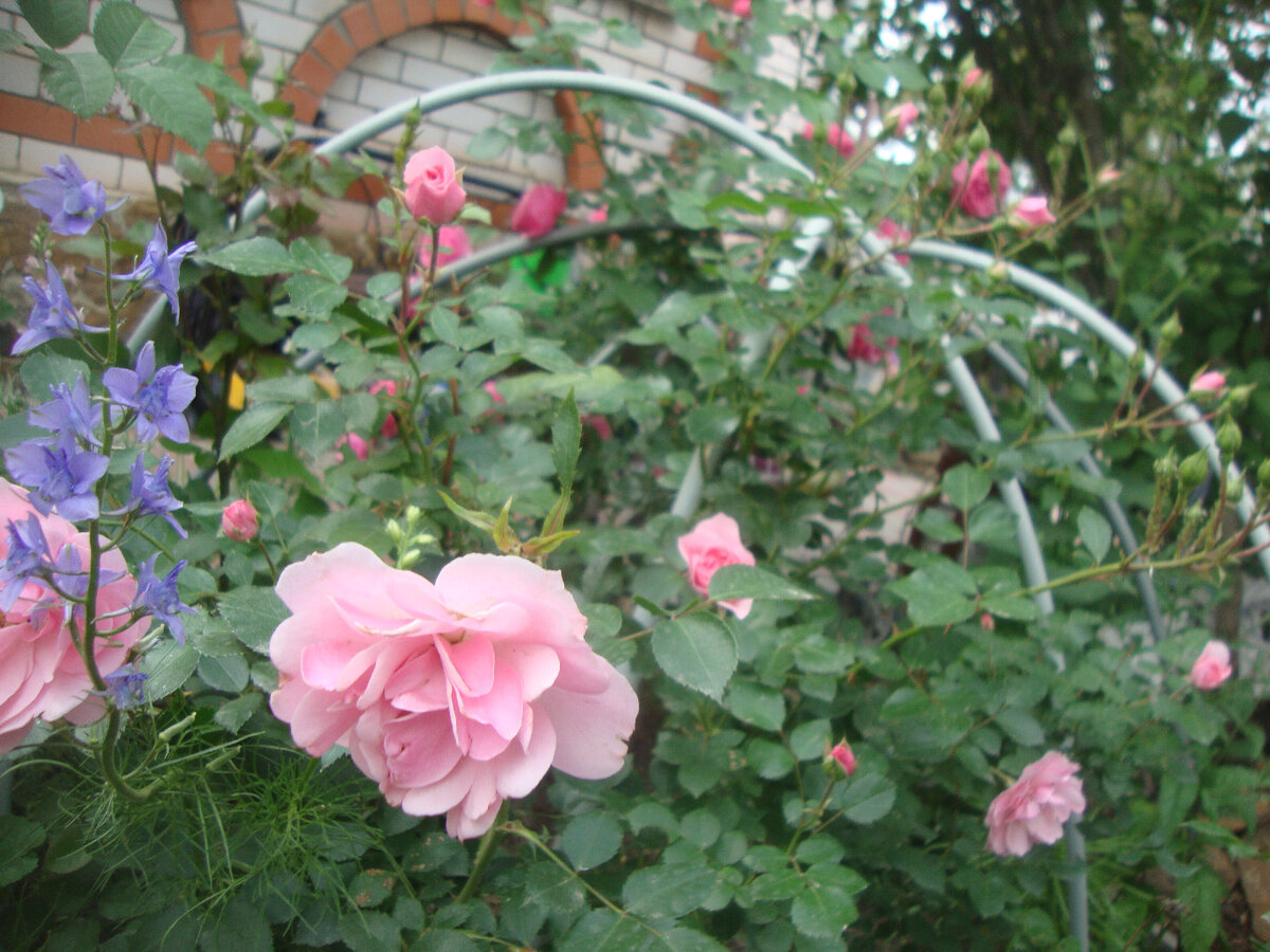 Если одним словом, то -нежность.