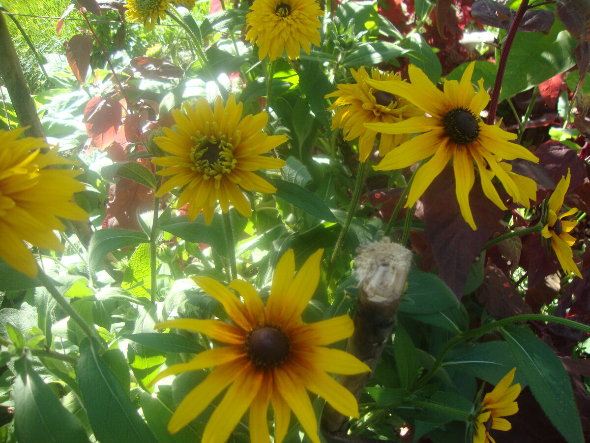 листать галерею