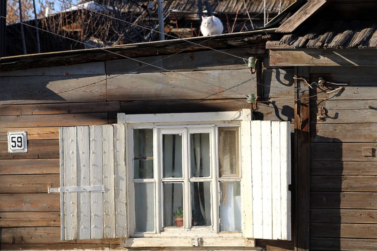 Фото: Е. Зимней